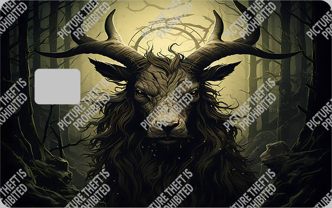 Bank  Card Sticker-BC-2292